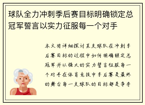 球队全力冲刺季后赛目标明确锁定总冠军誓言以实力征服每一个对手